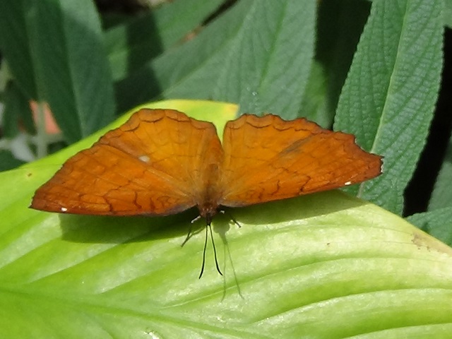 �`���E�`��