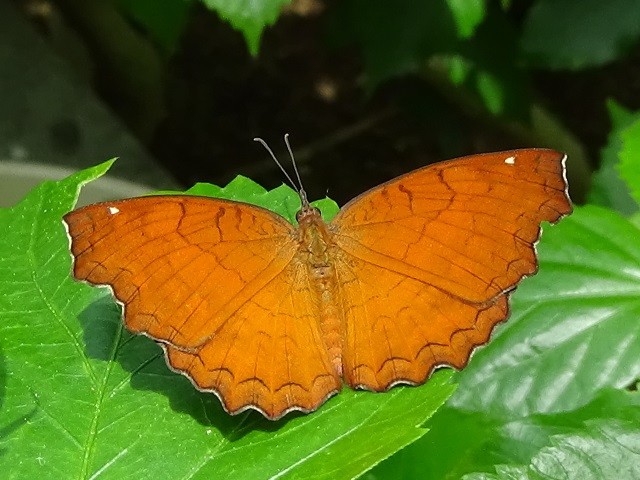 �`���E�`��