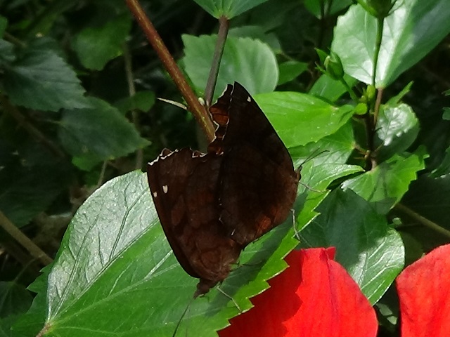 �`���E�`��