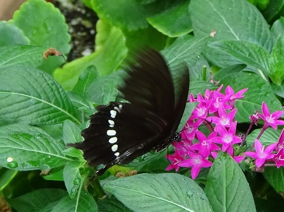 �`���E�`��