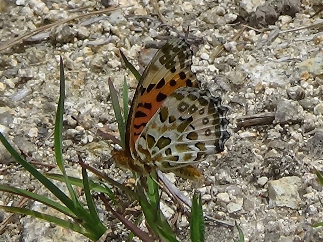 �`���E�`��