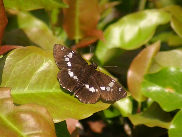 �_�C�~���E�Z�Z��