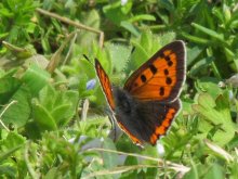 �x�j�V�W�~