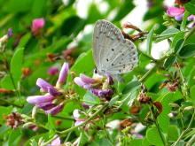 ���}�g�V�W�~