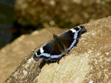 �����^�e�n