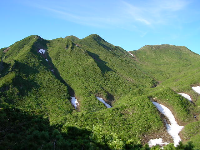 �`���E�`���̎ʐ^�o�R