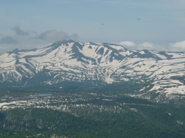 �`���E�`���̎ʐ^�o�R