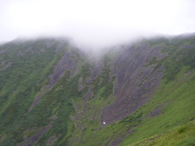 �`���E�`���̎ʐ^�o�R