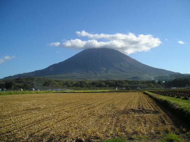 �`���E�`���̎ʐ^�o�R