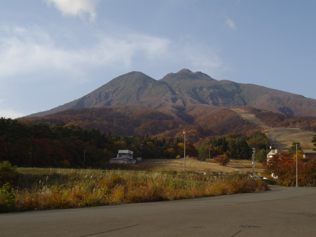 �`���E�`���̎ʐ^�o�R