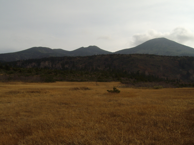 �`���E�`���̎ʐ^�o�R