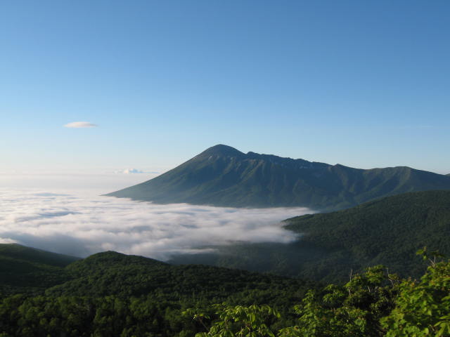 �`���E�`���̎ʐ^�o�R