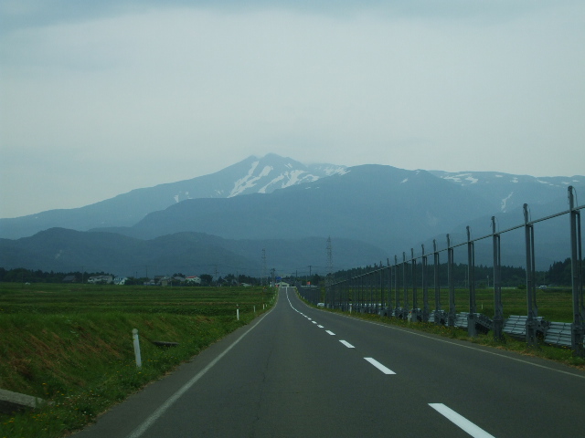 �`���E�`���̎ʐ^�o�R