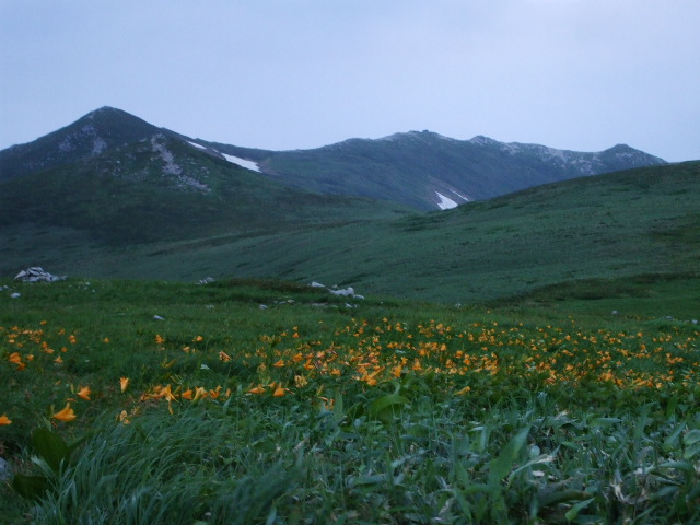 �`���E�`���̎ʐ^�o�R