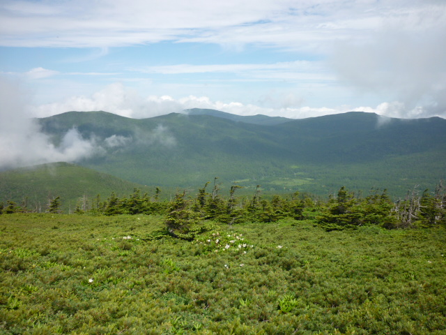 �`���E�`���̎ʐ^�o�R