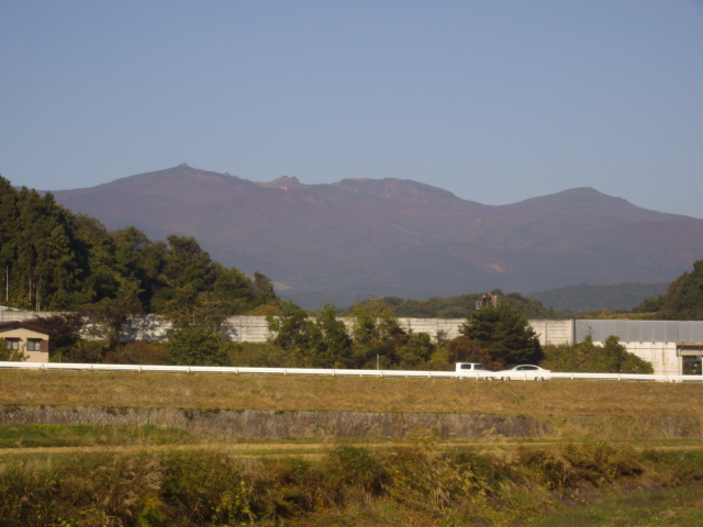 �`���E�`���̎ʐ^�o�R