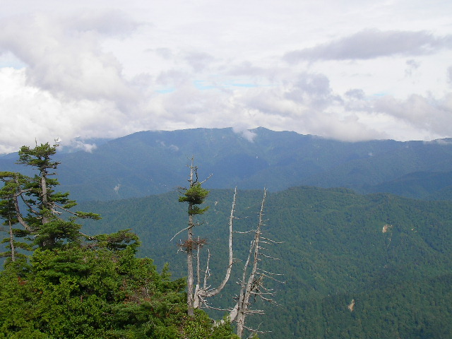 �`���E�`���̎ʐ^�o�R