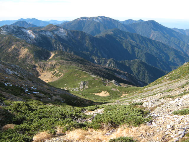 �`���E�`���̎ʐ^�o�R