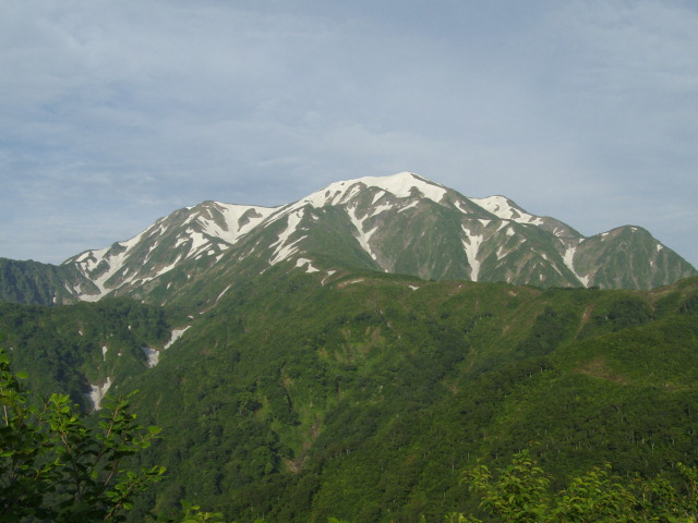 �`���E�`���̎ʐ^�o�R