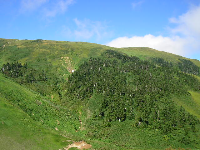 �`���E�`���̎ʐ^�o�R