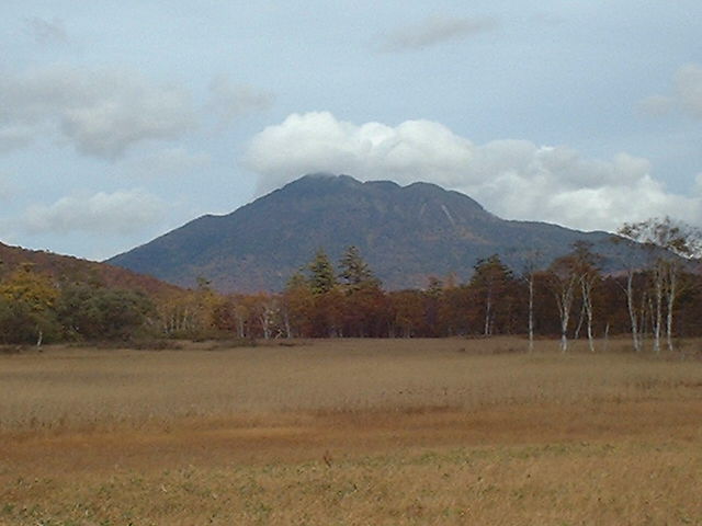 �`���E�`���̎ʐ^�o�R