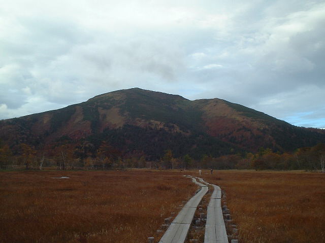 �`���E�`���̎ʐ^�o�R