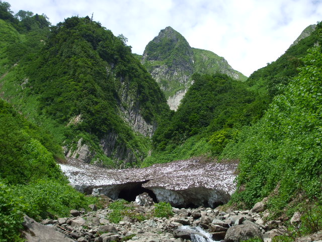 �`���E�`���̎ʐ^�o�R