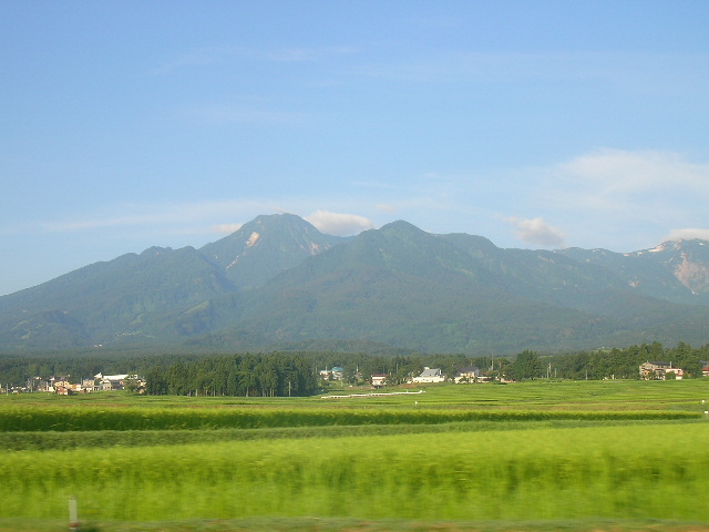 �`���E�`���̎ʐ^�o�R