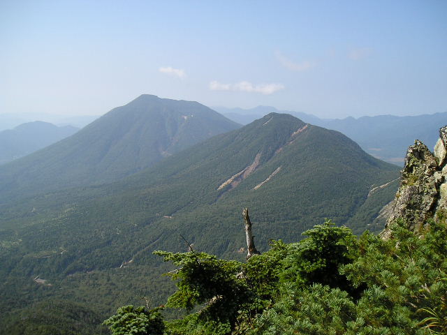 �`���E�`���̎ʐ^�o�R