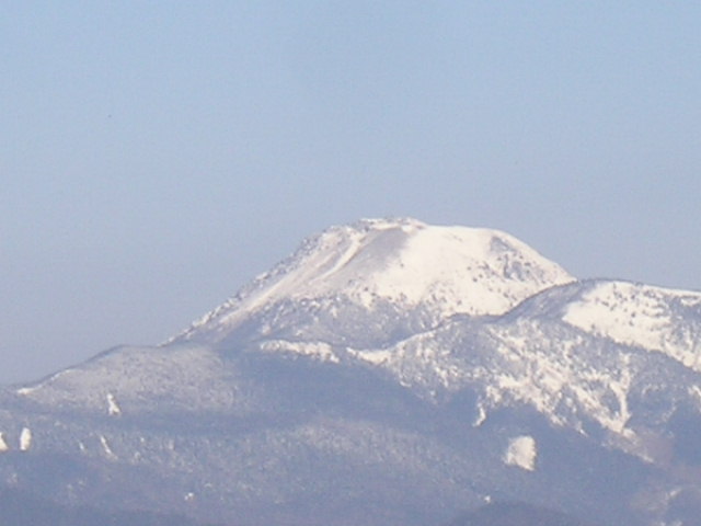 �`���E�`���̎ʐ^�o�R