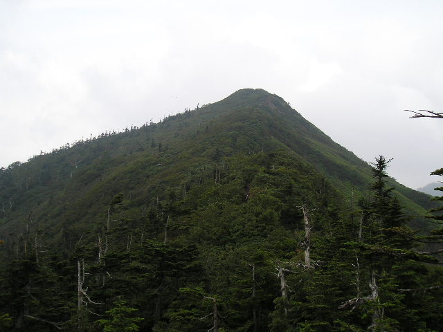 �`���E�`���̎ʐ^�o�R