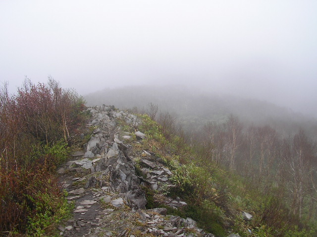 �`���E�`���̎ʐ^�o�R