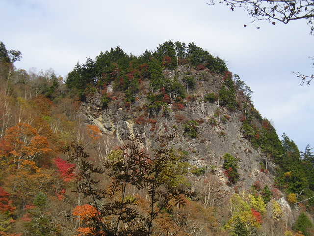 �`���E�`���̎ʐ^�o�R