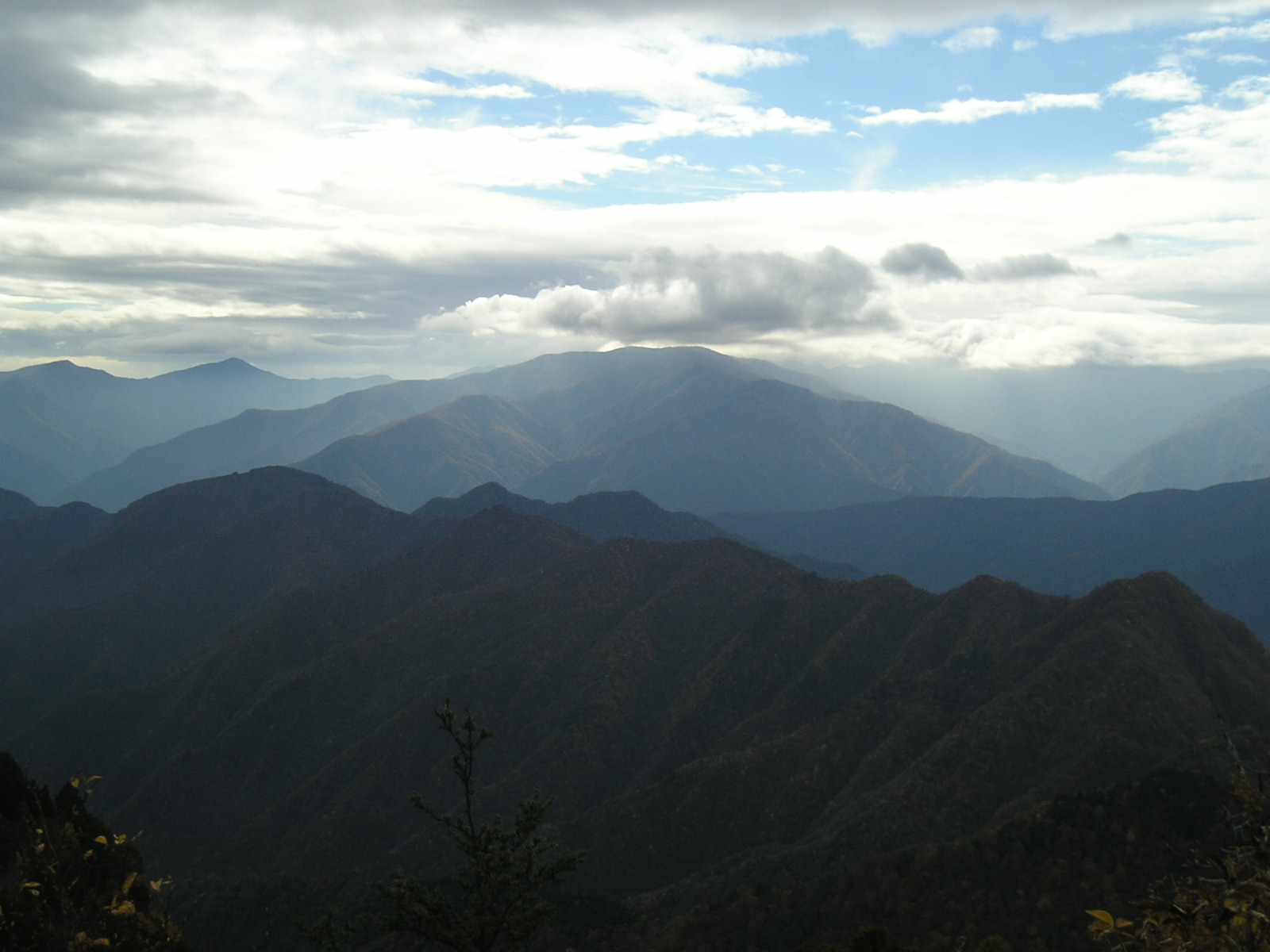 �`���E�`���̎ʐ^�o�R