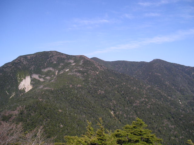 �`���E�`���̎ʐ^�o�R