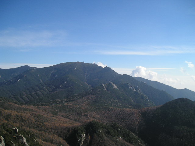 �`���E�`���̎ʐ^�o�R