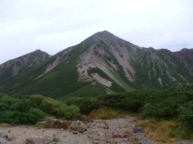 �`���E�`���̎ʐ^�o�R