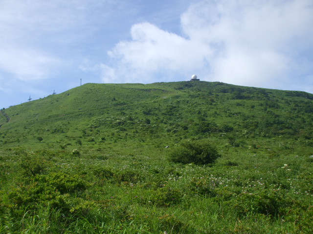 �`���E�`���̎ʐ^�o�R