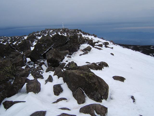 �`���E�`���̎ʐ^�o�R