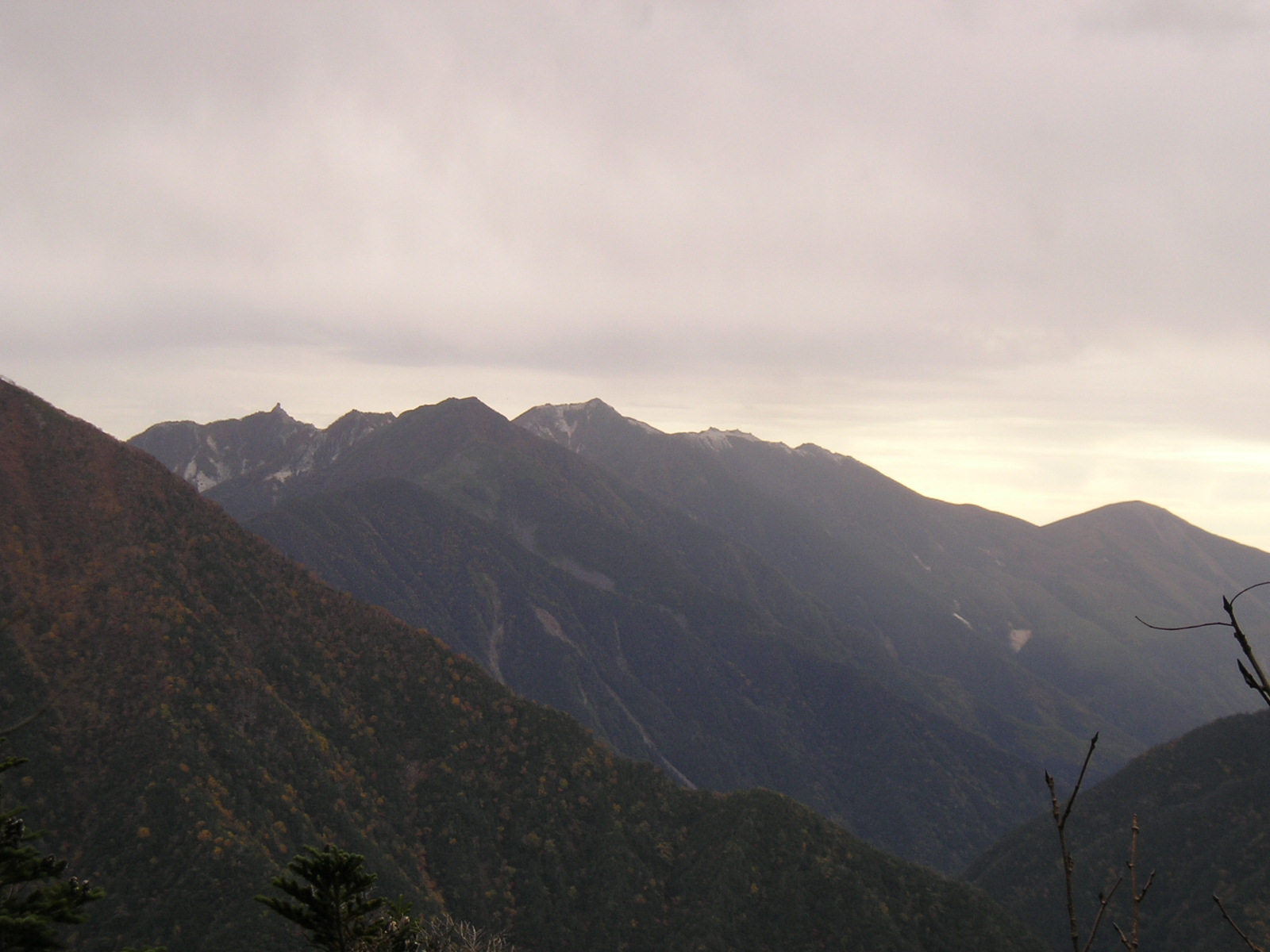 �`���E�`���̎ʐ^�o�R