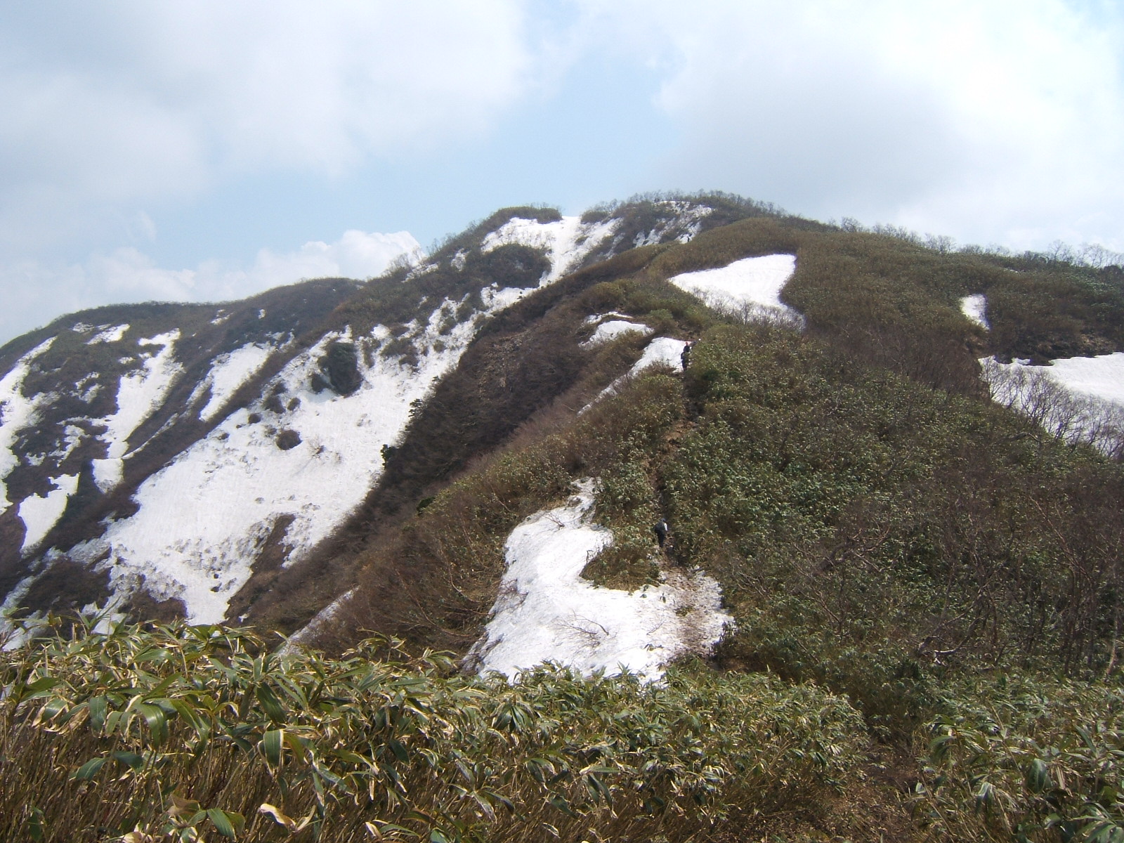 �`���E�`���̎ʐ^�o�R