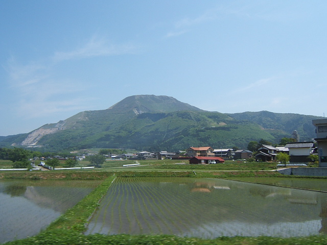 �`���E�`���̎ʐ^�o�R