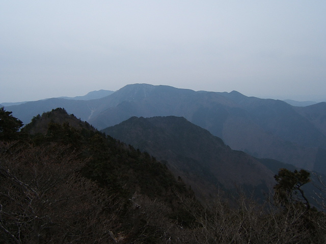 �`���E�`���̎ʐ^�o�R