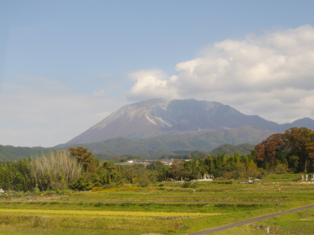 �`���E�`���̎ʐ^�o�R