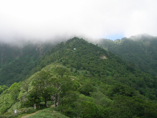 �`���E�`���̎ʐ^�o�R