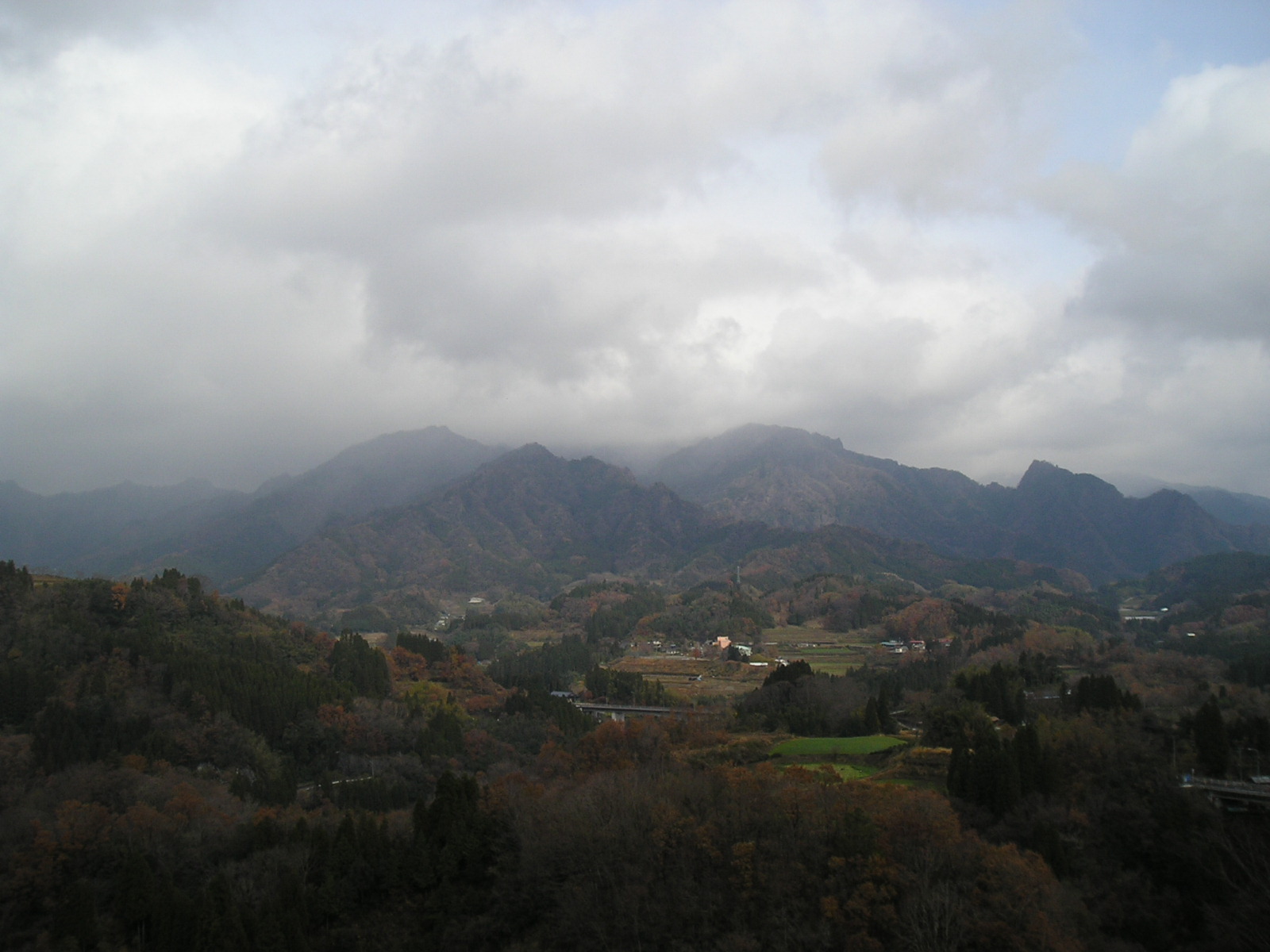 �`���E�`���̎ʐ^�o�R